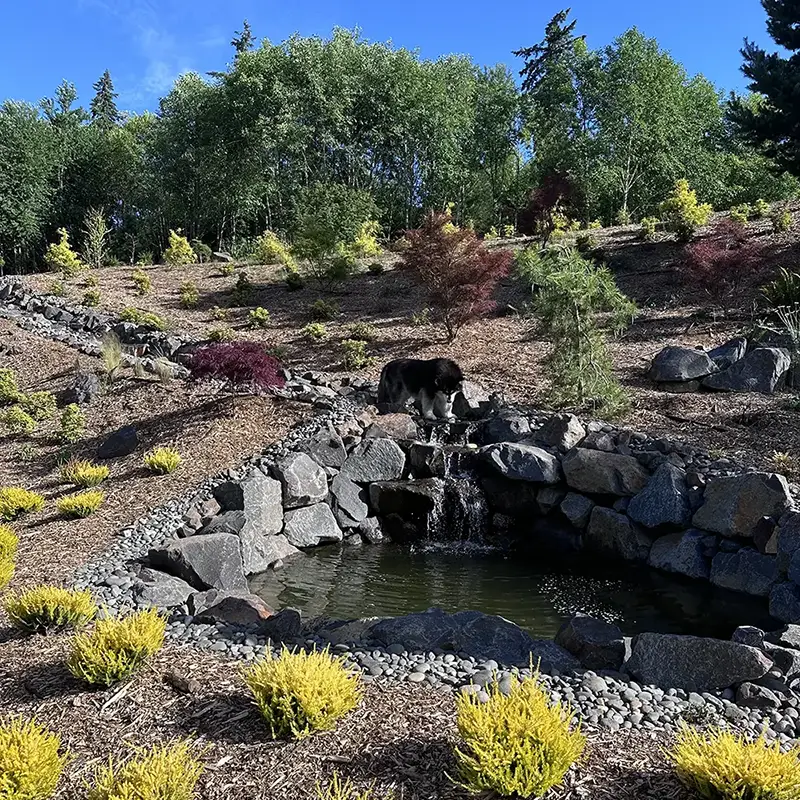 The Waterfall Feature at Alder Grove